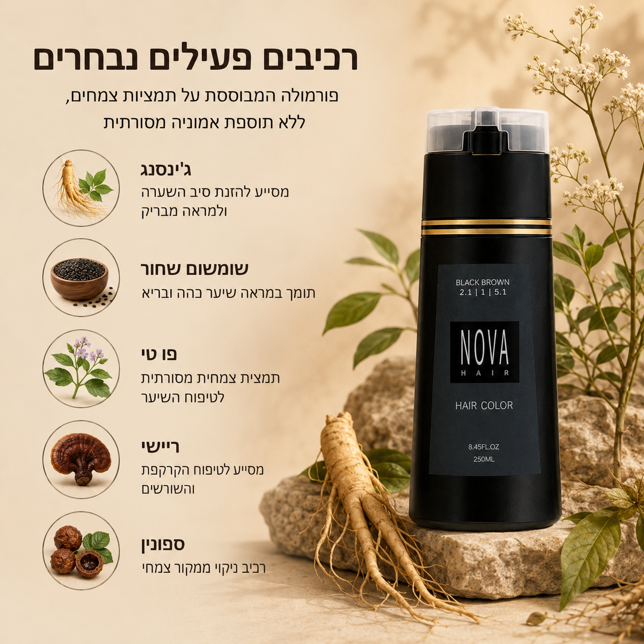תמונה 6